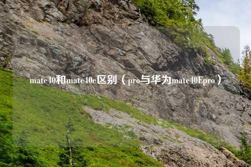 mate40和mate40e区别(pro与华为mate40Epro)