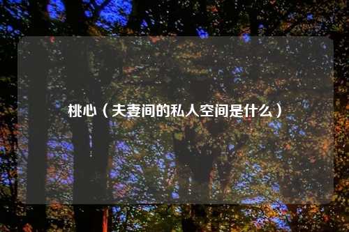 桃心(夫妻间的私人空间是什么)