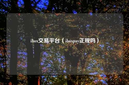 ibox交易平台(iboxpay正规吗)