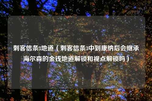 刺客信条3地道(刺客信条3中到康纳后会继承海尔森的金钱地道解锁和视点解锁吗)