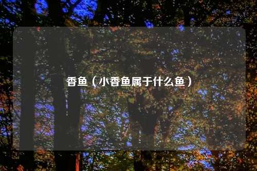 香鱼(小香鱼属于什么鱼)