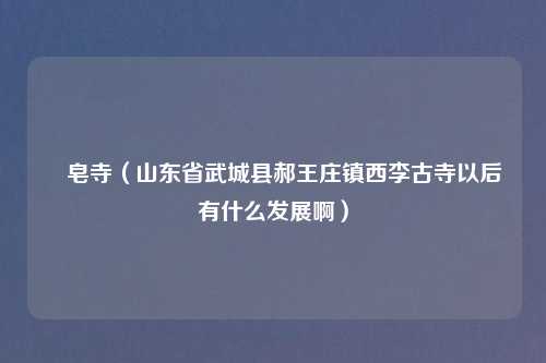 砮皂寺(山东省武城县郝王庄镇西李古寺以后有什么发展啊)