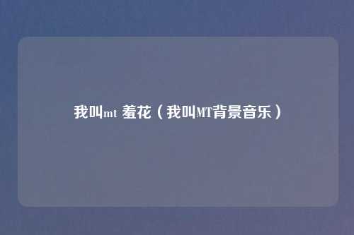 我叫mt 羞花（我叫MT背景音乐）
