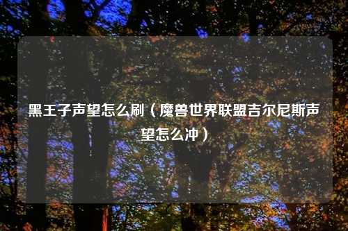 黑王子声望怎么刷（魔兽世界联盟吉尔尼斯声望怎么冲）