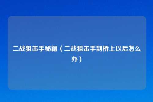 二战狙击手秘籍（二战狙击手到桥上以后怎么办）