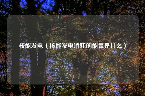 核能发电（核能发电消耗的能量是什么）