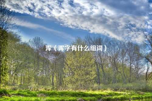 浑(浑字有什么组词)