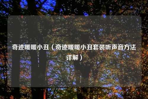 奇迹暖暖小丑（奇迹暖暖小丑套装听声音     详解）