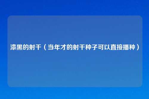 漆黑的射千(当年才的射干种子可以直接播种)