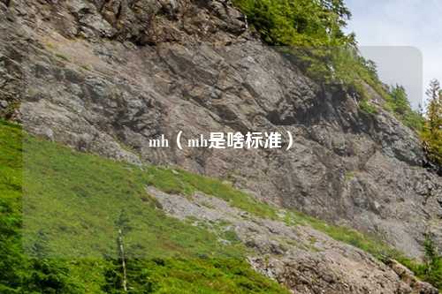 mh(mh是啥标准)