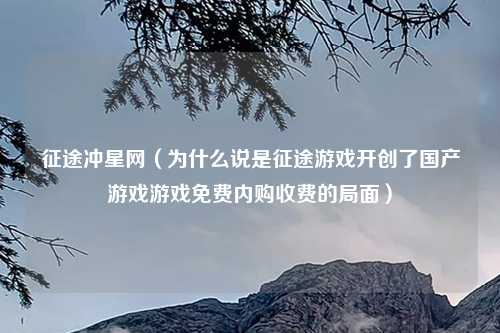 征途冲星网(为什么说是征途游戏开创了国产游戏游戏免费内购收费的局面)