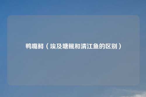 鸭嘴鲟(埃及塘鲺和清江鱼的区别)