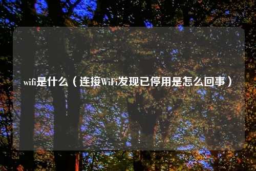 wifi是什么（连接WiFi发现已停用是怎么回事）