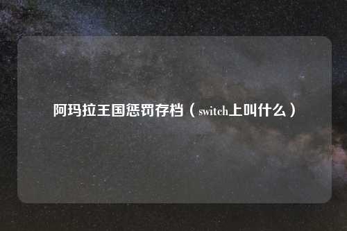 阿玛拉王国惩罚存档（switch上叫什么）