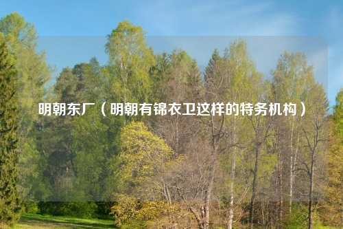 明朝东厂（明朝有锦衣卫这样的特务机构）