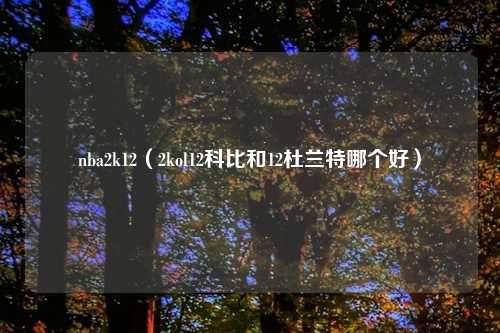nba2k12(2kol12科比和12杜兰特哪个好)