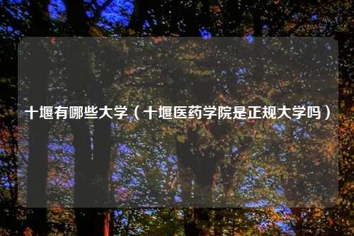十堰有哪些大学（十堰医药学院是正规大学吗）