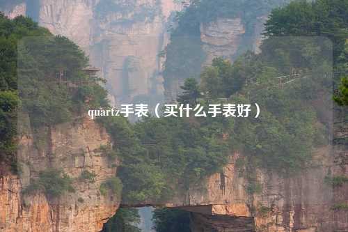 quartz手表（买什么手表好）