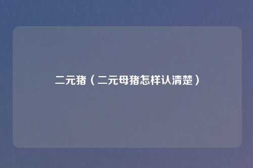 二元猪(二元母猪怎样认清楚)