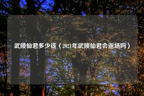 武陵仙君多少钱（2021年武陵仙君会返场吗）