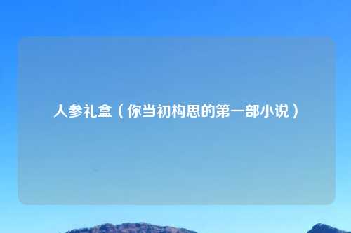 人参礼盒（你当初构思的之一部小说）