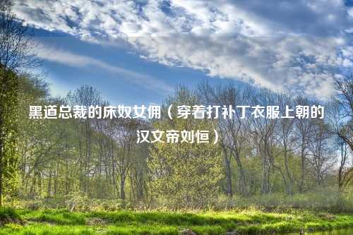 黑道总裁的床奴女佣(穿着打补丁衣服上朝的汉文帝刘恒)