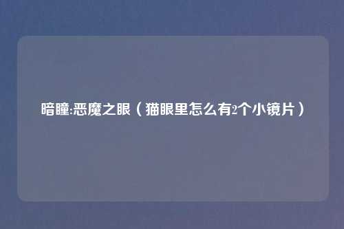 暗瞳:恶魔之眼（猫眼里怎么有2个小镜片）