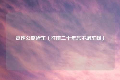 高速公路堵车（往前二十年怎不堵车啊）