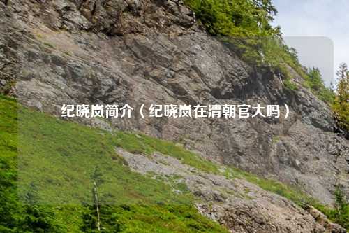 纪晓岚简介（纪晓岚在清朝官大吗）