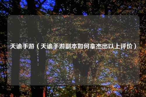 天谕手游（天谕手游副本如何拿杰出以上评价）