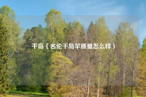 千岛(名伦千岛竿质量怎么样)