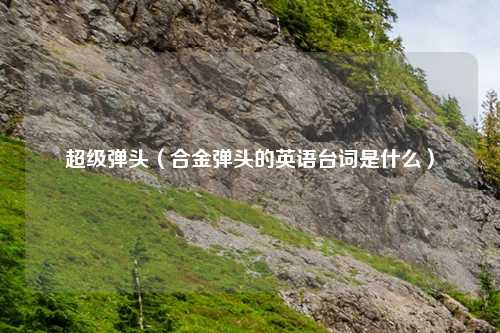 超级弹头（合金弹头的英语台词是什么）