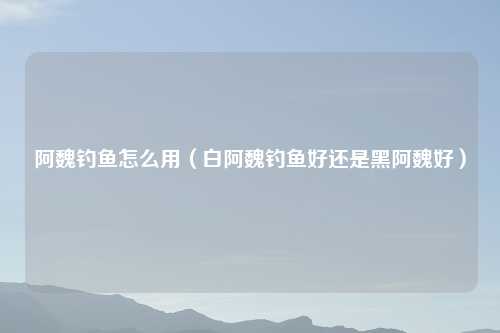 阿魏钓鱼怎么用(白阿魏钓鱼好还是黑阿魏好)