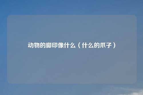 动物的脚印像什么（什么的爪子）