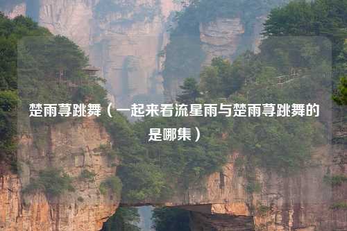 楚雨荨跳舞（一起来看流星雨与楚雨荨跳舞的是哪集）