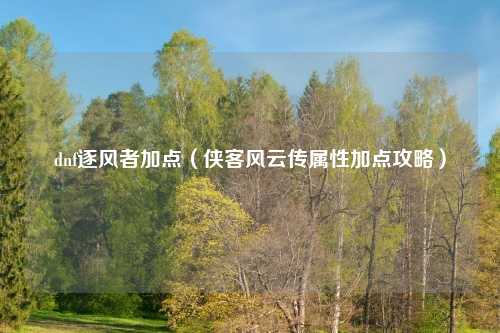 dnf逐风者加点(侠客风云传属性加点攻略)