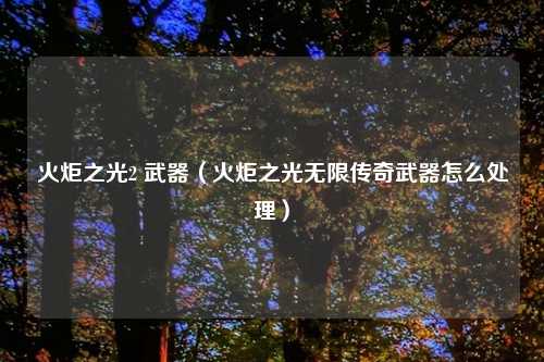 火炬之光2 武器（火炬之光无限传奇武器怎么处理）