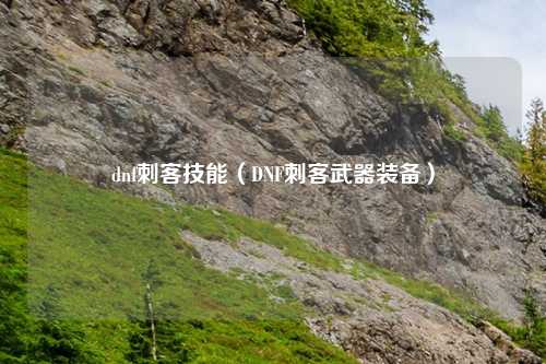 dnf刺客技能（DNF刺客武器装备）