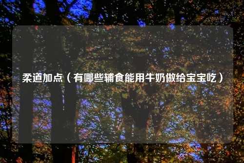 柔道加点(有哪些辅食能用牛奶做给宝宝吃)