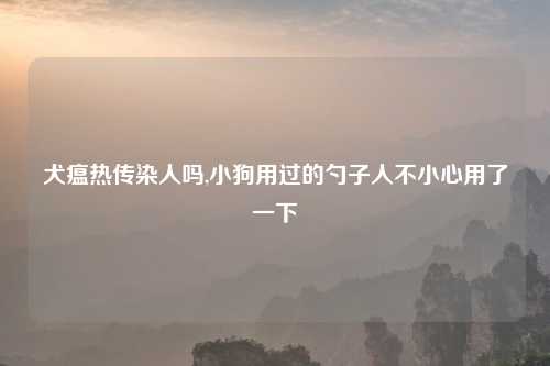 犬瘟热传染人吗,小狗用过的勺子人不小心用了一下