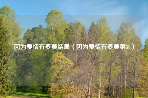 因为爱情有多美结局（因为爱情有多美第58）
