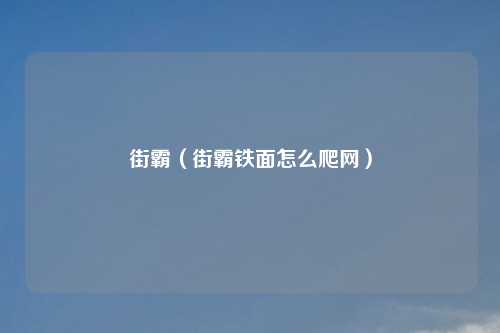 街霸(街霸铁面怎么爬网)