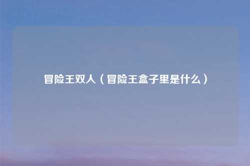 冒险王双人（冒险王盒子里是什么）