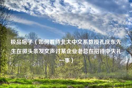 极品痞子（如何看待北大中文系教授孔庆东先生在微头条发文声讨某企业老总在招待中失礼一事）