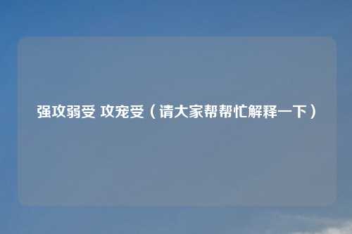 强攻弱受 攻宠受（请大家帮帮忙解释一下）