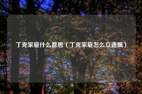 丁克家庭什么意思（丁克家庭怎么立遗嘱）