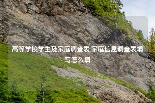 高等学校学生及家庭调查表,家庭信息调查表填写怎么填