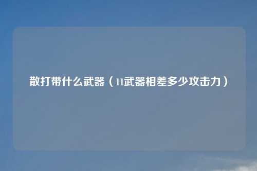 散打带什么武器（11武器相差多少攻击力）