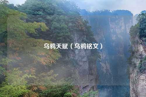 乌鸦天赋（乌鸦铭文）