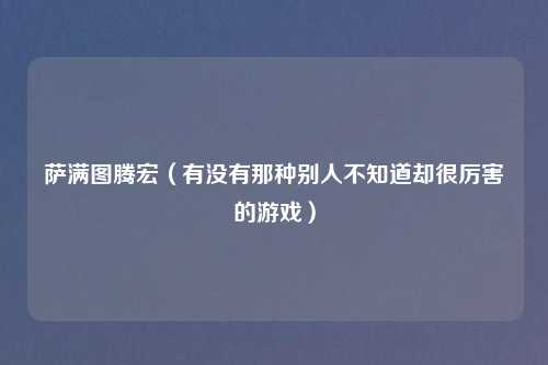 萨满图腾宏（有没有那种别人不知道却很厉害的游戏）
